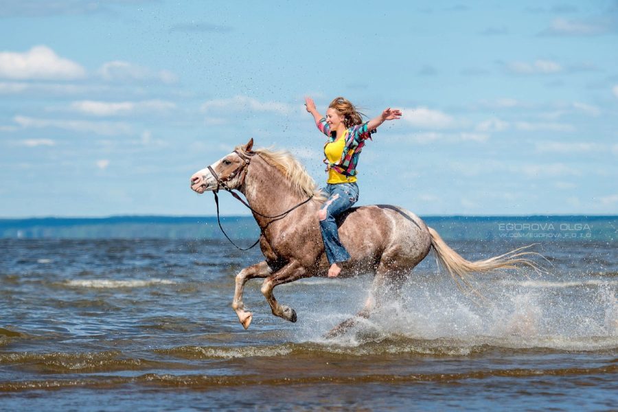 Red Sea and Desert Horse Riding with Swimming
