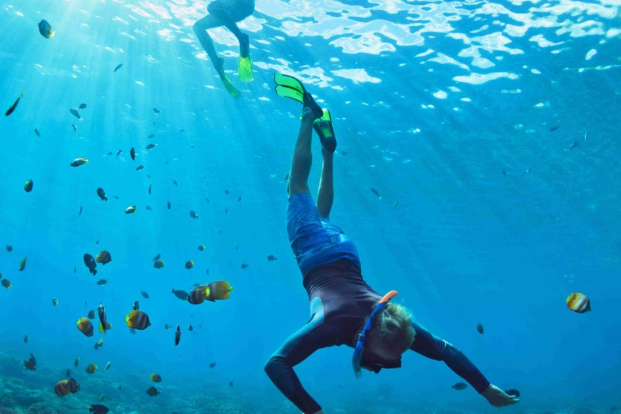 Snorkeling on Utopia Island