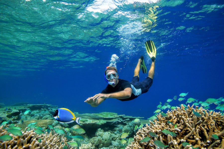 Snorkeling in Sharm El Naga