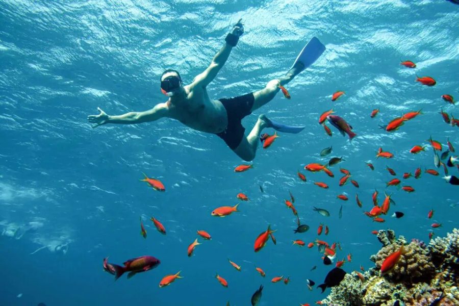 Private snorkeling boat tour