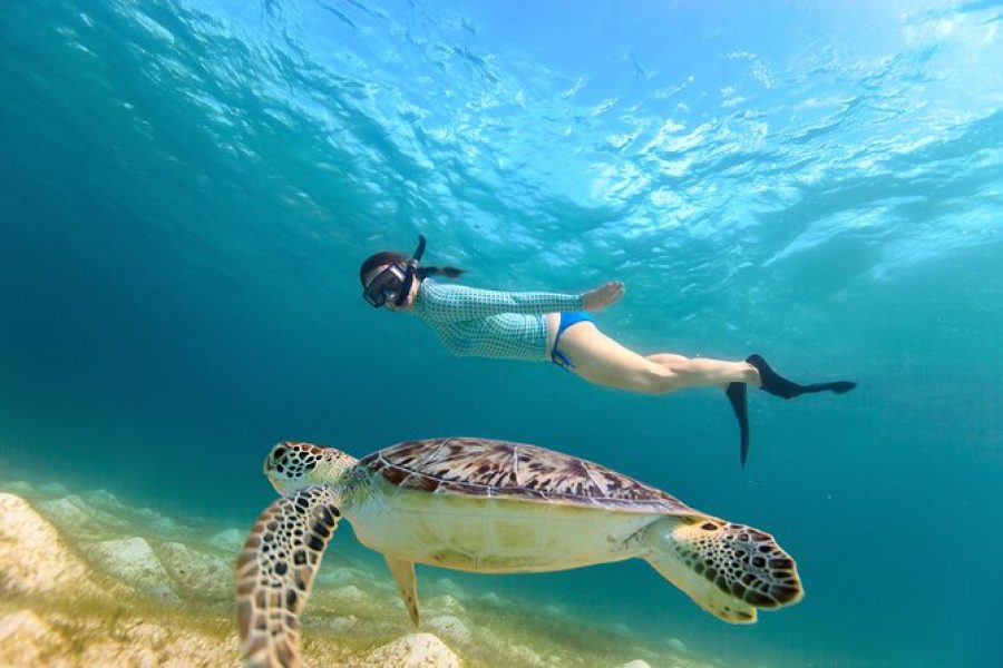 Abu Dabbab snorkeling
